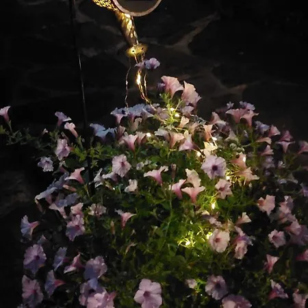 Kolo Druziv Guest house