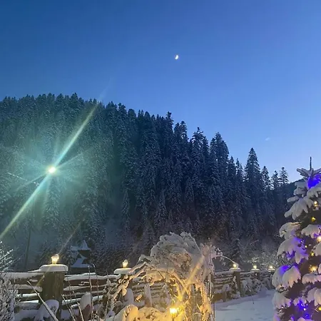 Guest house Kolo Druziv 3*