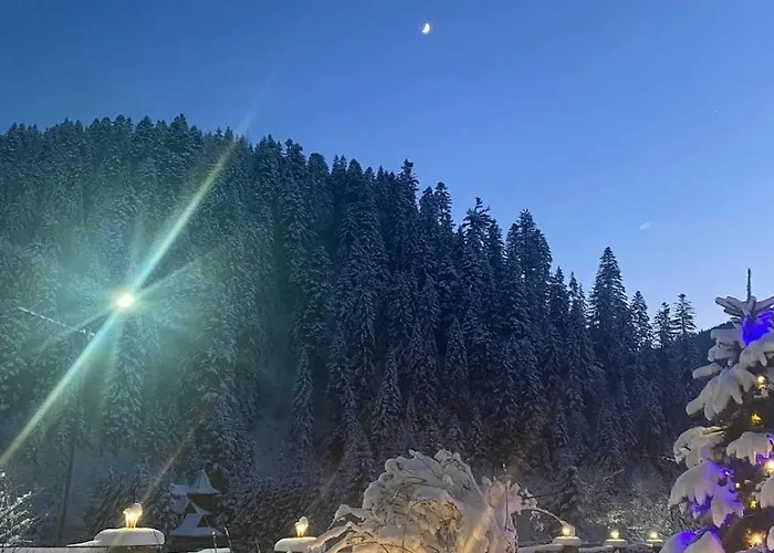 Konukevi Kolo Druziv 3*